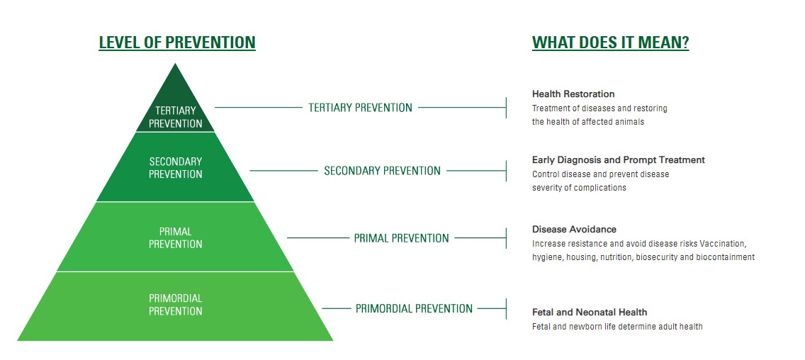 Levels of prevention